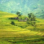 rice terraces, mountains, rice paddies